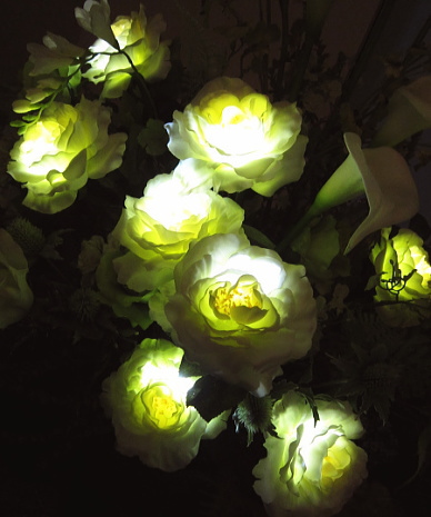 LED光と花の相性は抜群！！